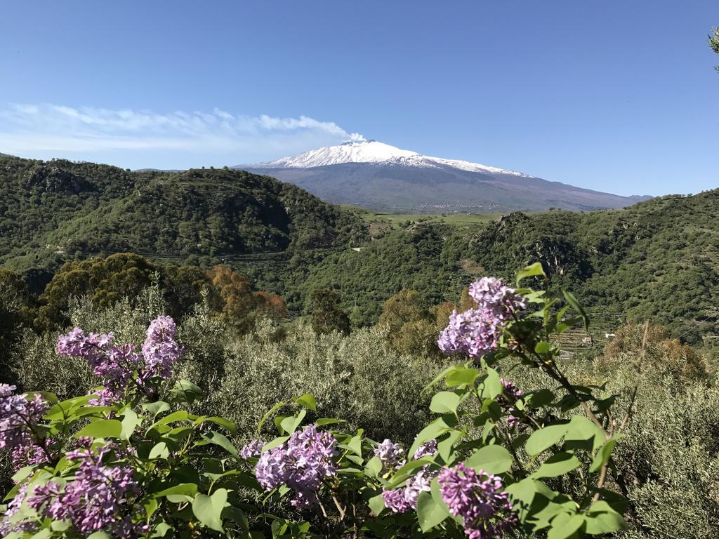 Villa Uliveto Francavilla di Sicilia Ngoại thất bức ảnh